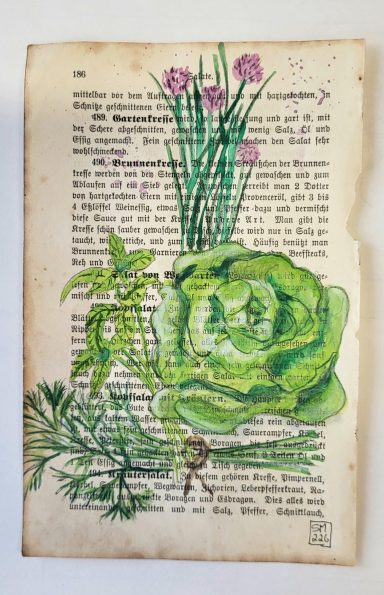 Salat und Kräuter Salat und Kräuter